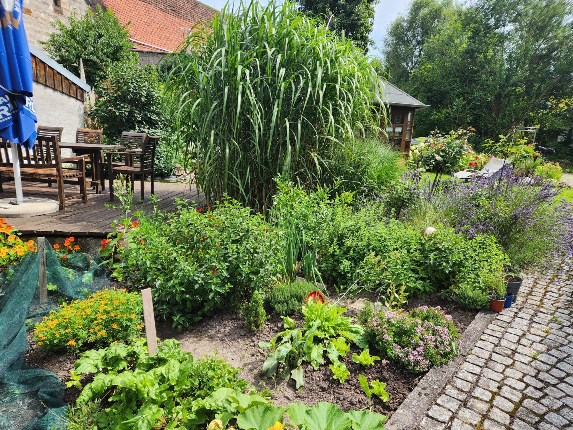 Familienfreundlich Im Naturpark Hassberge Mit Gehobener Gastronomie Kirchlauter Luaran gambar
